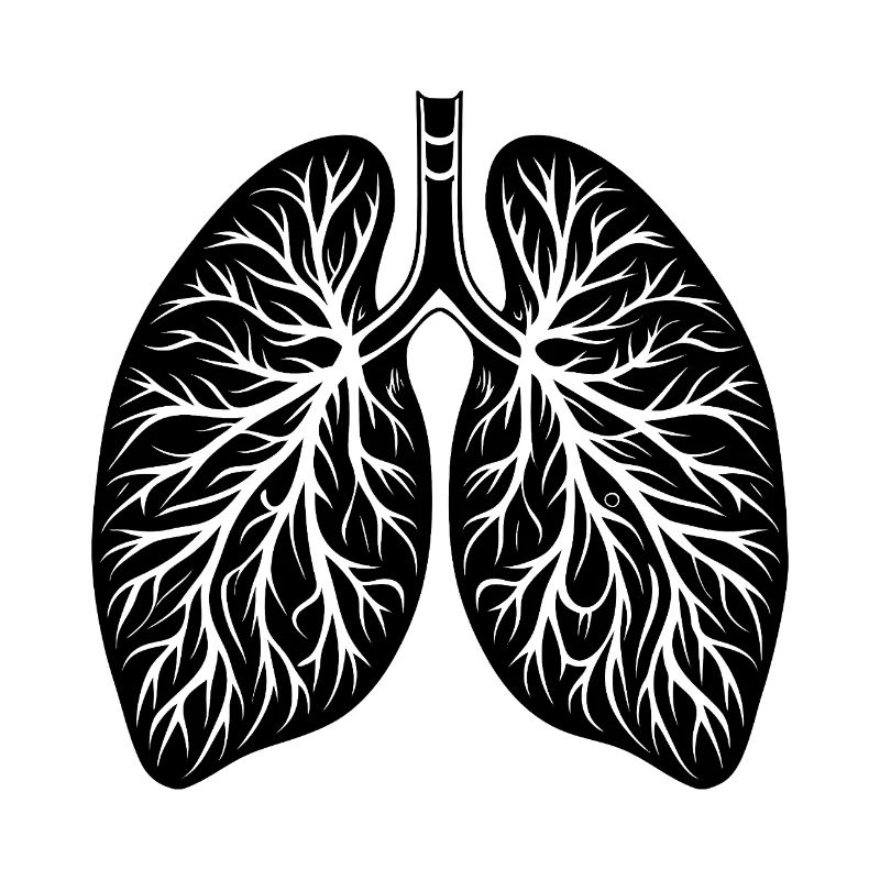 Lungs