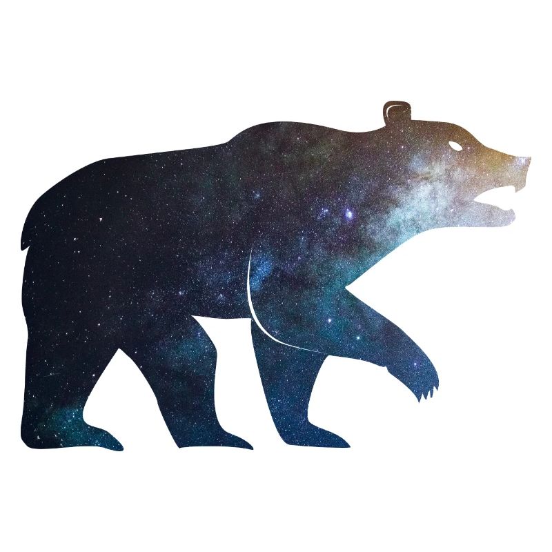 Bear Starlight