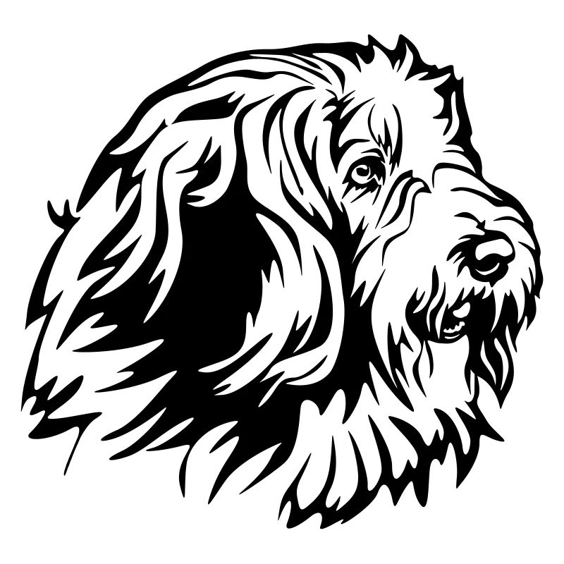 Bearded Collie Head
