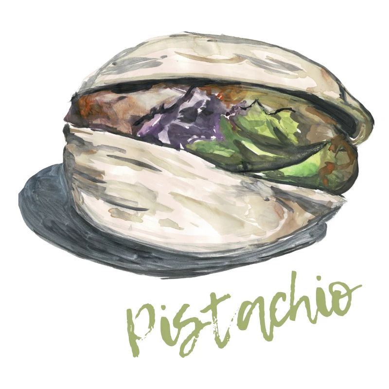 Pistachio Shell Illustration