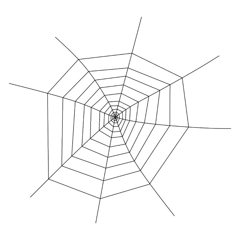 Spider Web