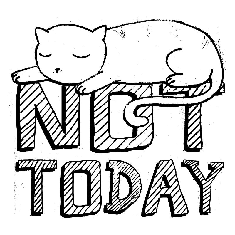 Not Today (Sleeping Cat)
