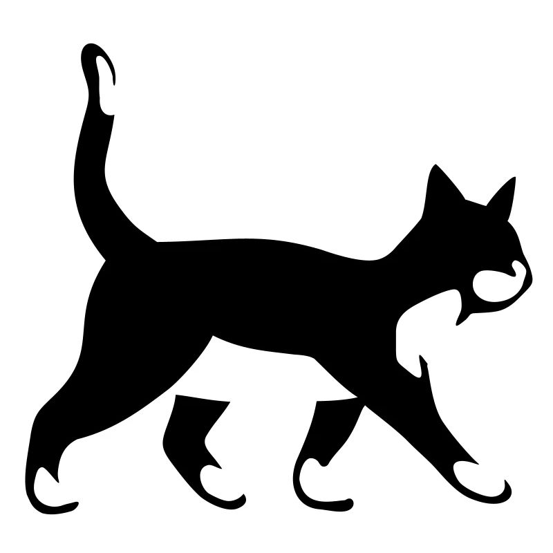 mignon chat * chats