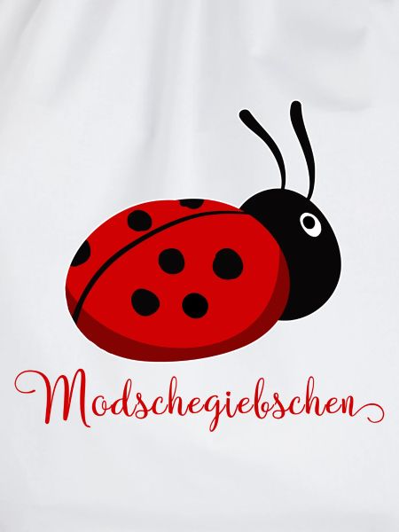Modschegiebchen Marienkäfer Sächsisch Geschenkidee
