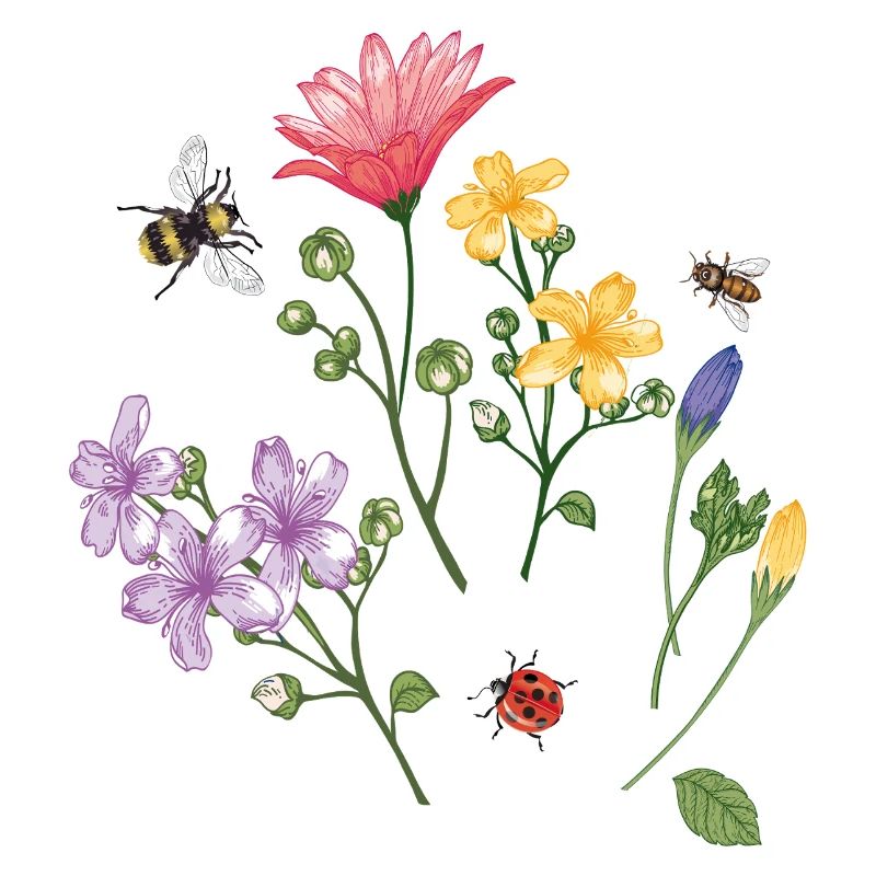 Flower meadow