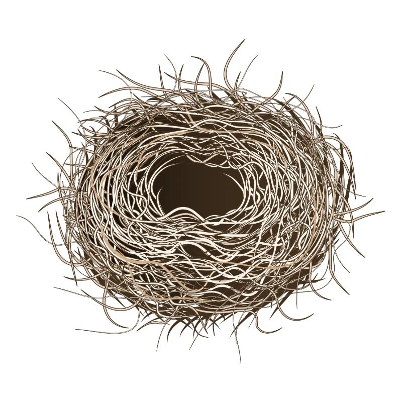 leeres Vogelnest oder Osternest zum Frühling