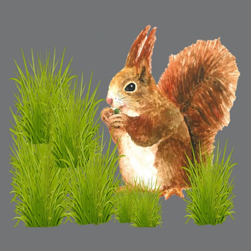 Eichhörnchen-Design