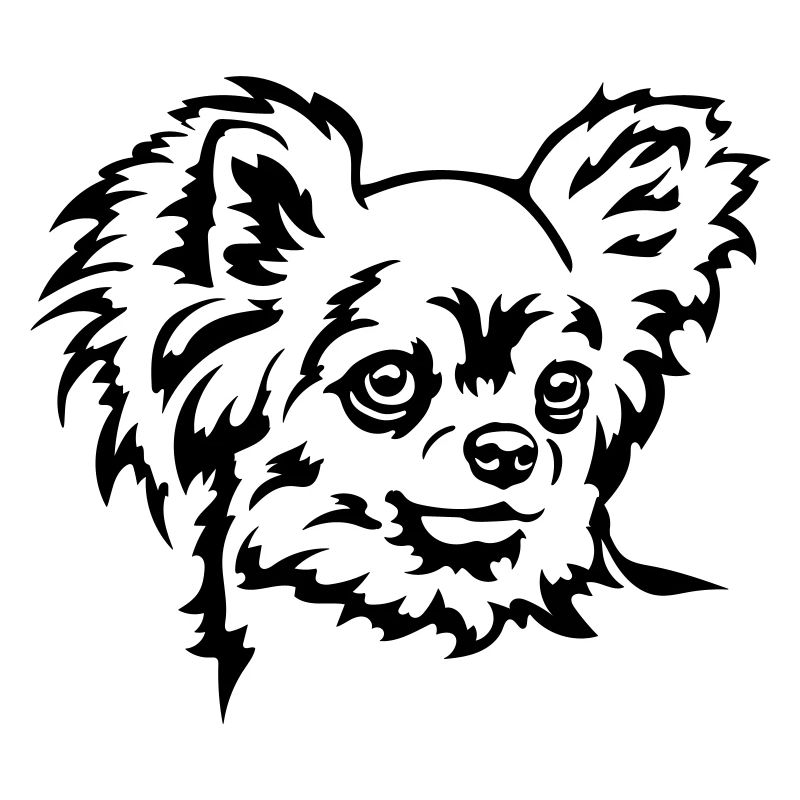 Chihuahua Head