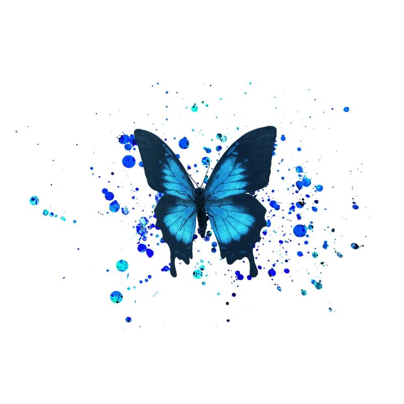 Blue sky moth butterfly
