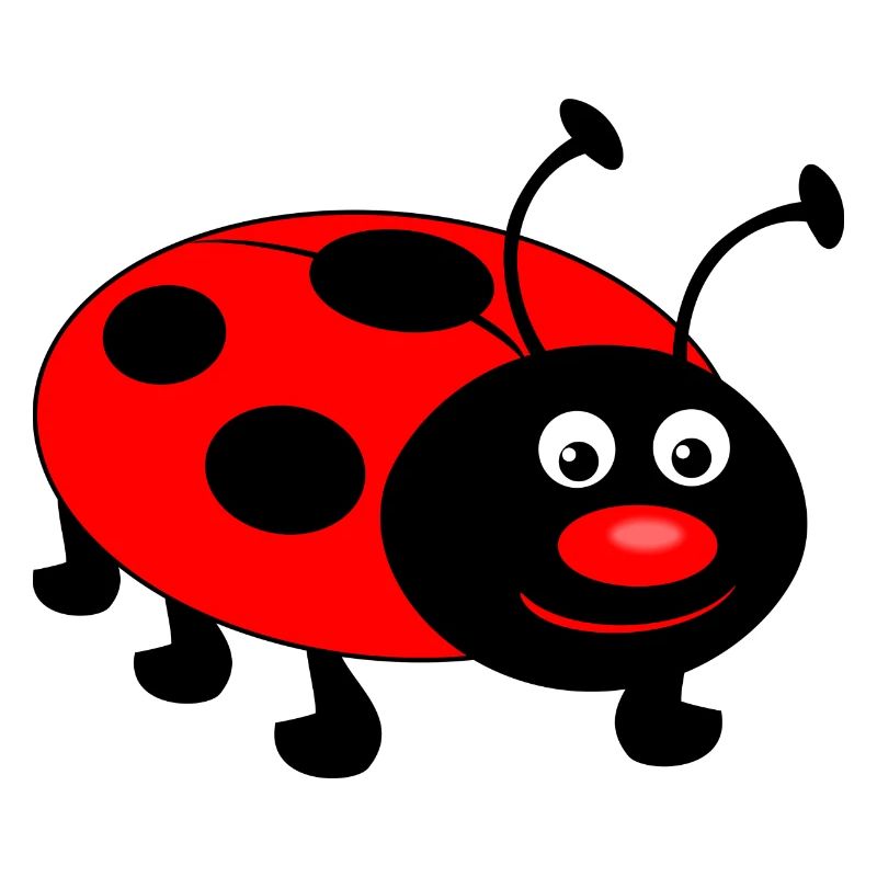 ladybug