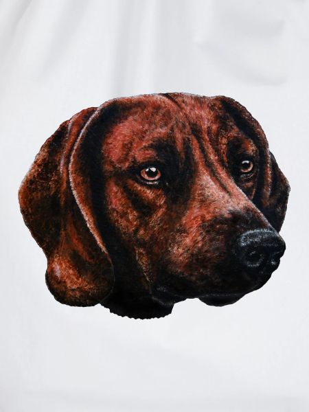 Schweißhund Portrait
