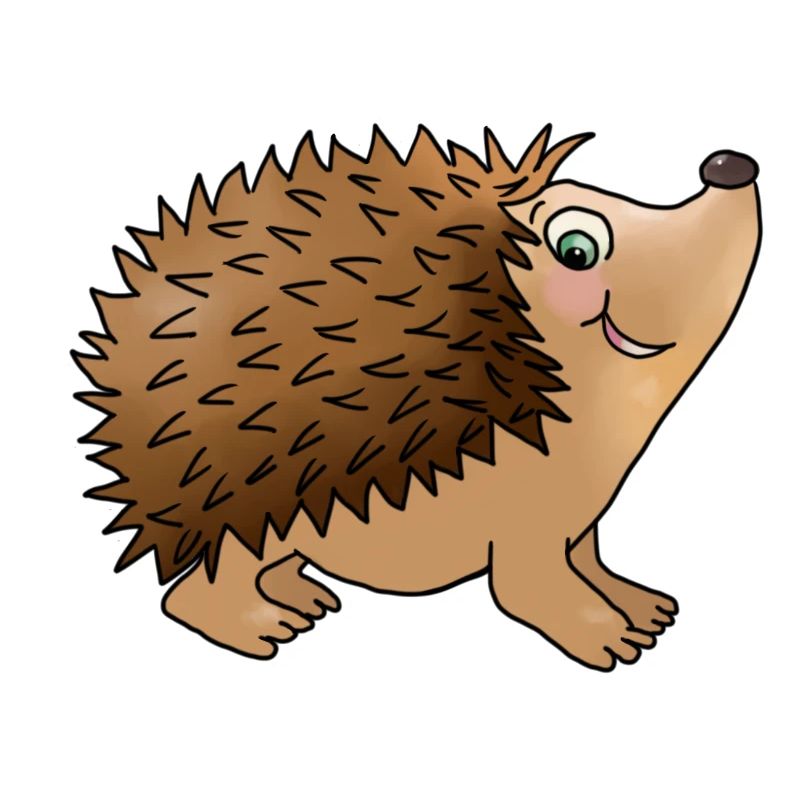 Friendly hedgehog