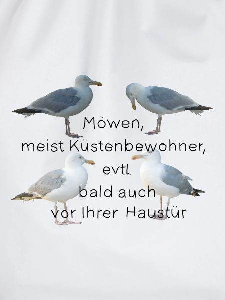 Möwen mit Spruch