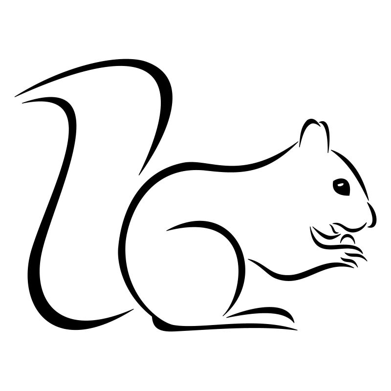 Eichhörnchen