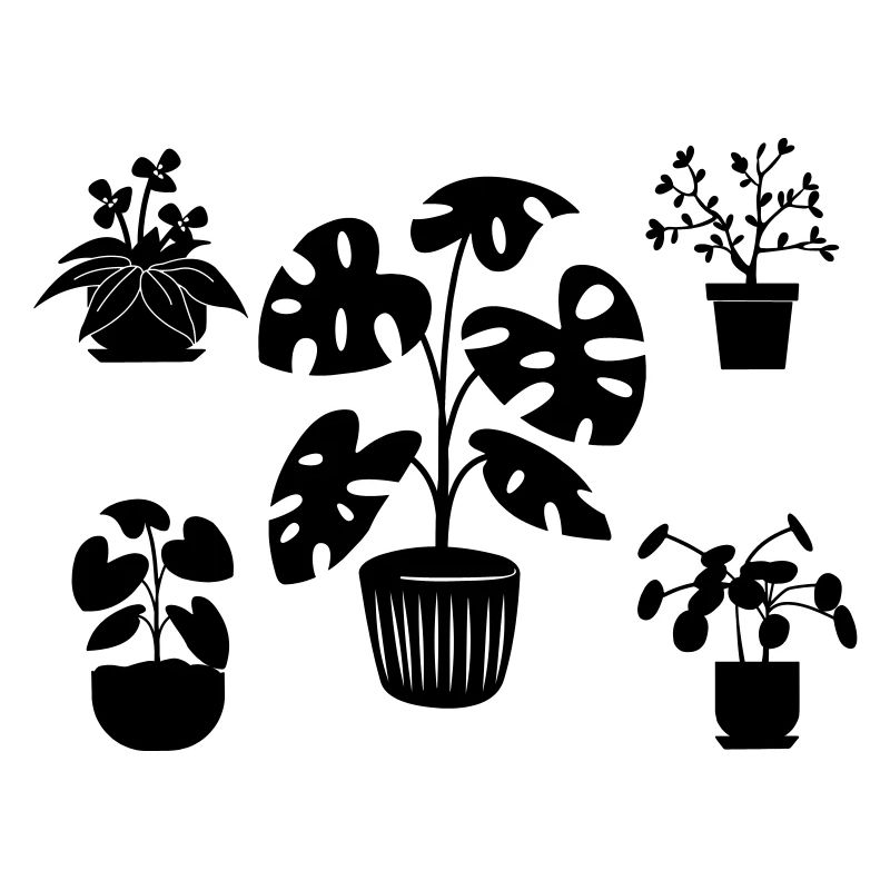Houseplants five