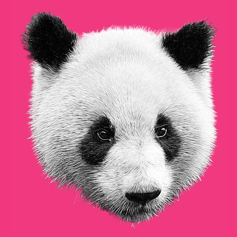 Panda Schwarz Weiß