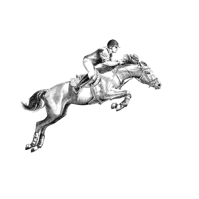 Equitation