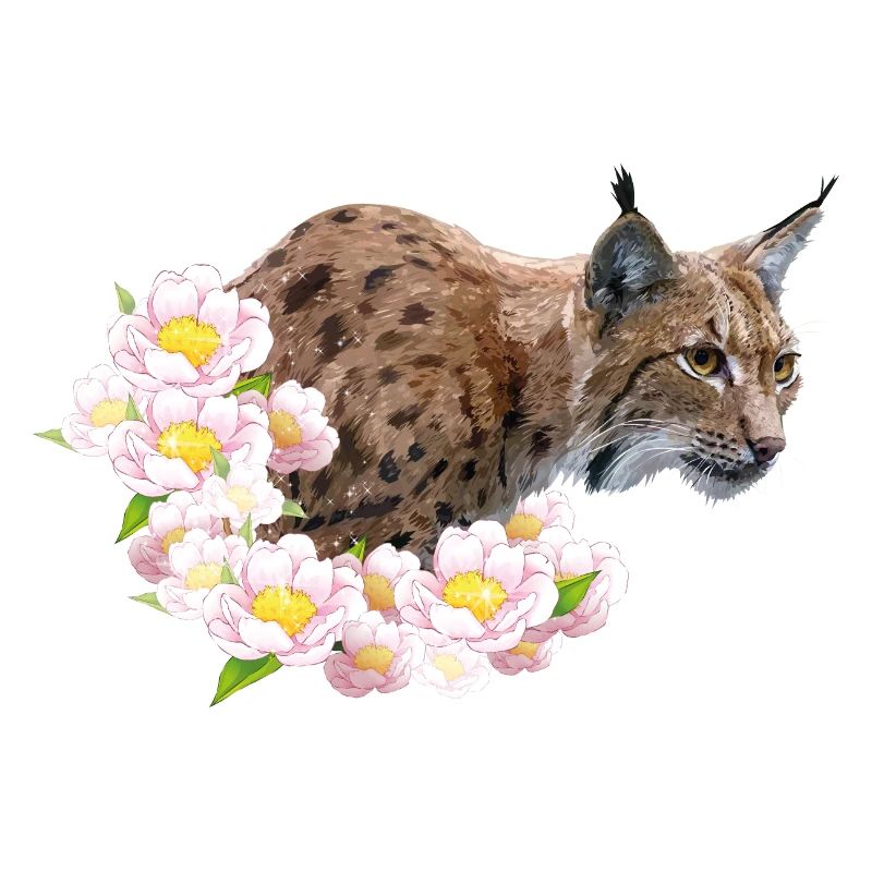 lynx