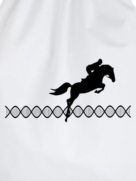 DNA Springreiten