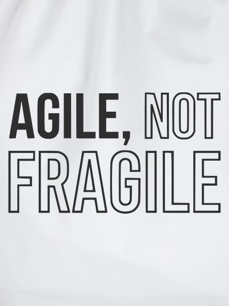 Agile Development, Scrum Agile Coach Tasse
