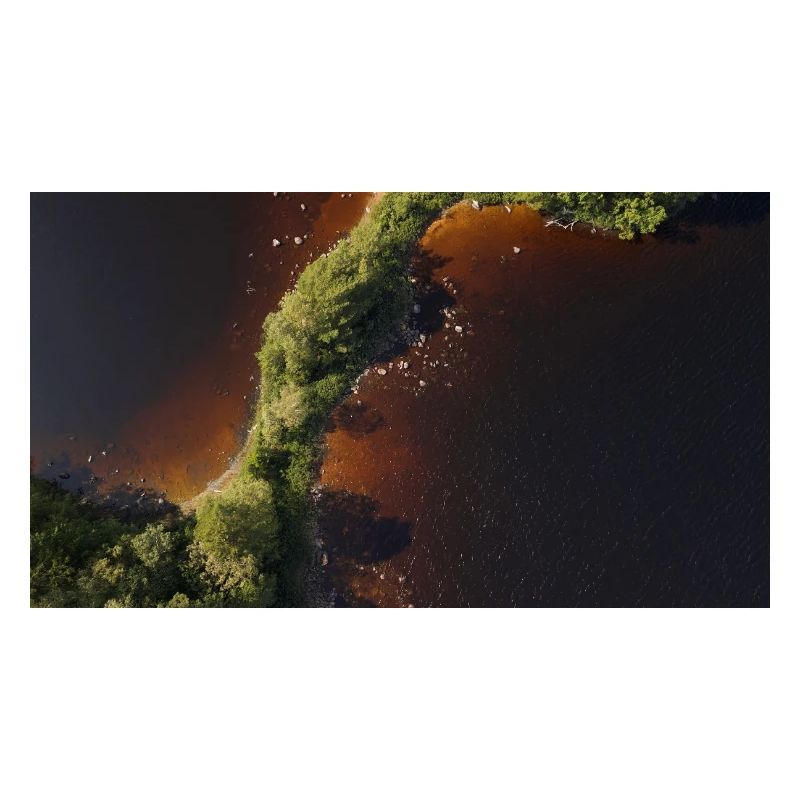 Forest River Shoreline