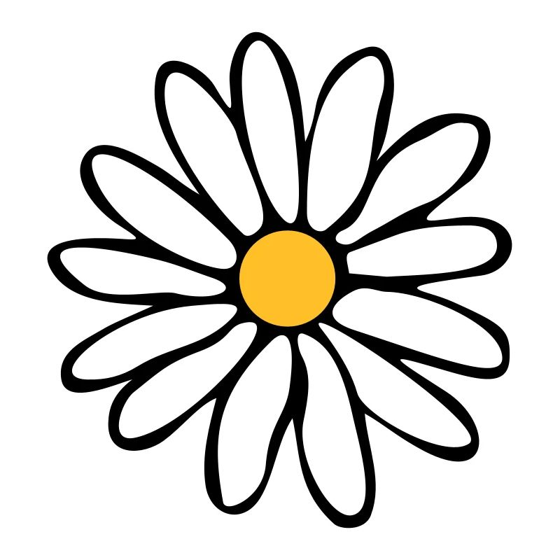 Daisies