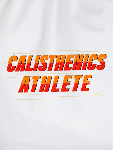 Calisthenics Athlet – Kraftkunst