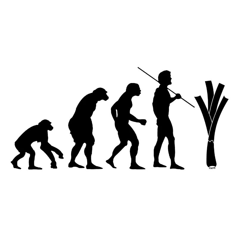 Evolution des Lauchs