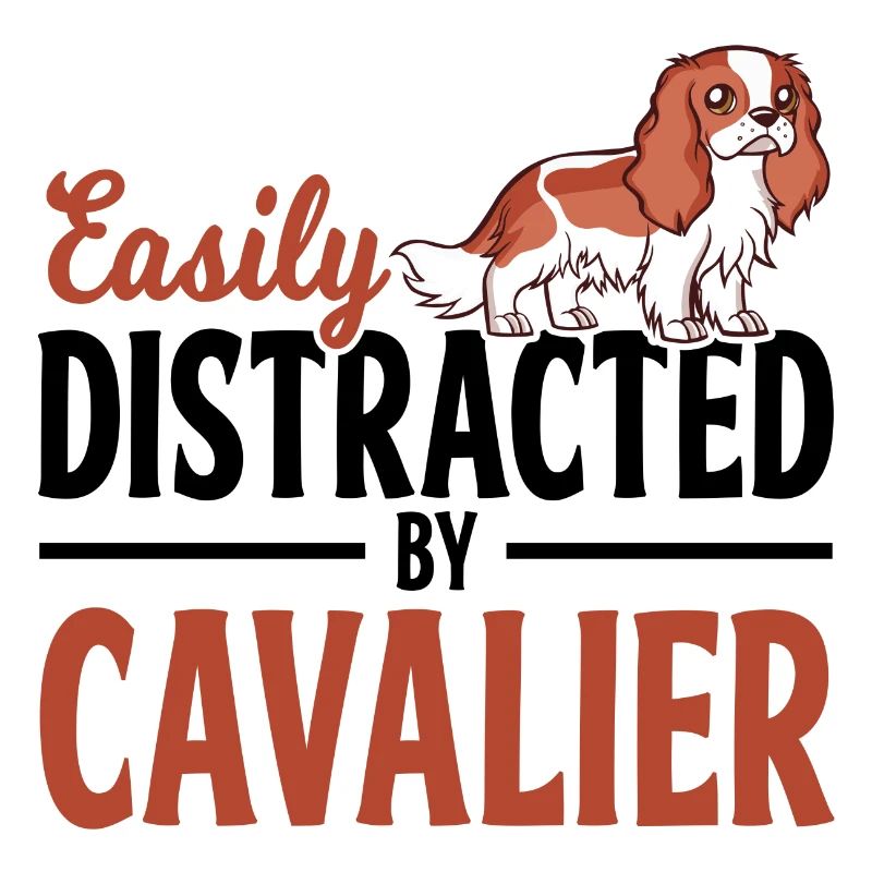 Cavalier King Charles Spaniel Hunde Herrchen