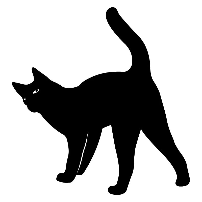 Cat cat