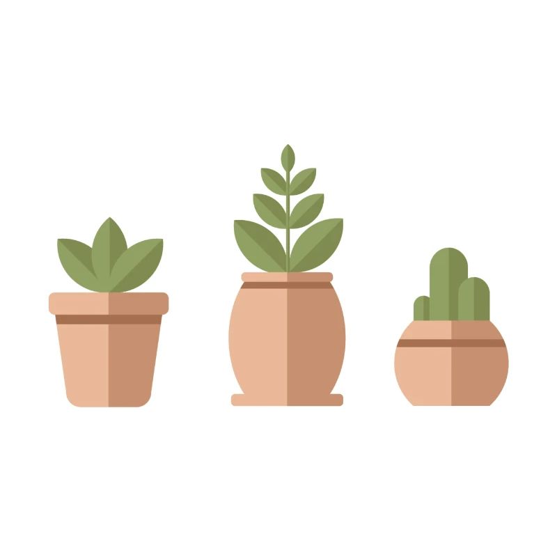 cute plants
