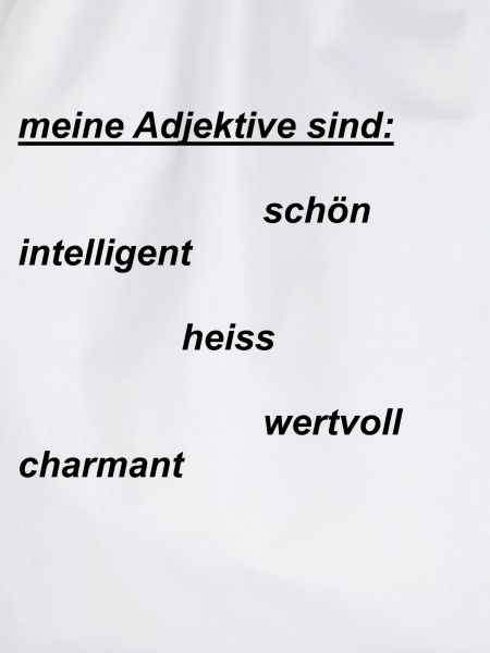 meine Adjektive