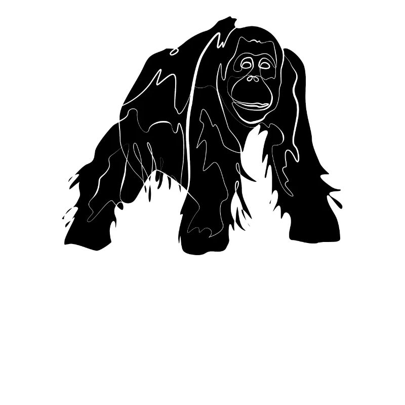Orangutan Monkey