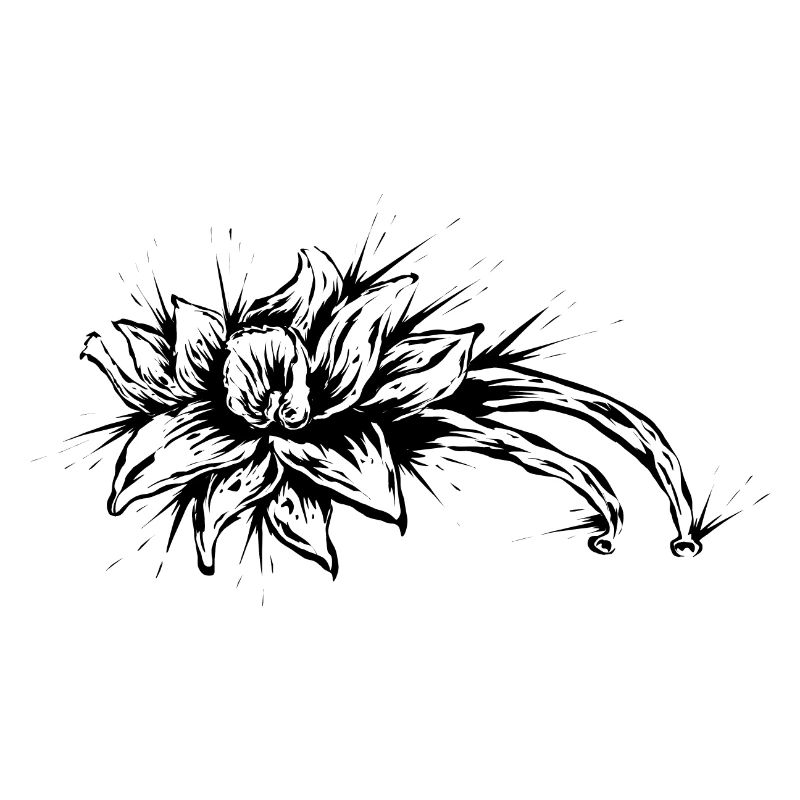 Vanille Blume