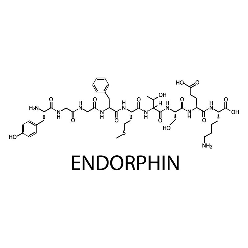 endorphin