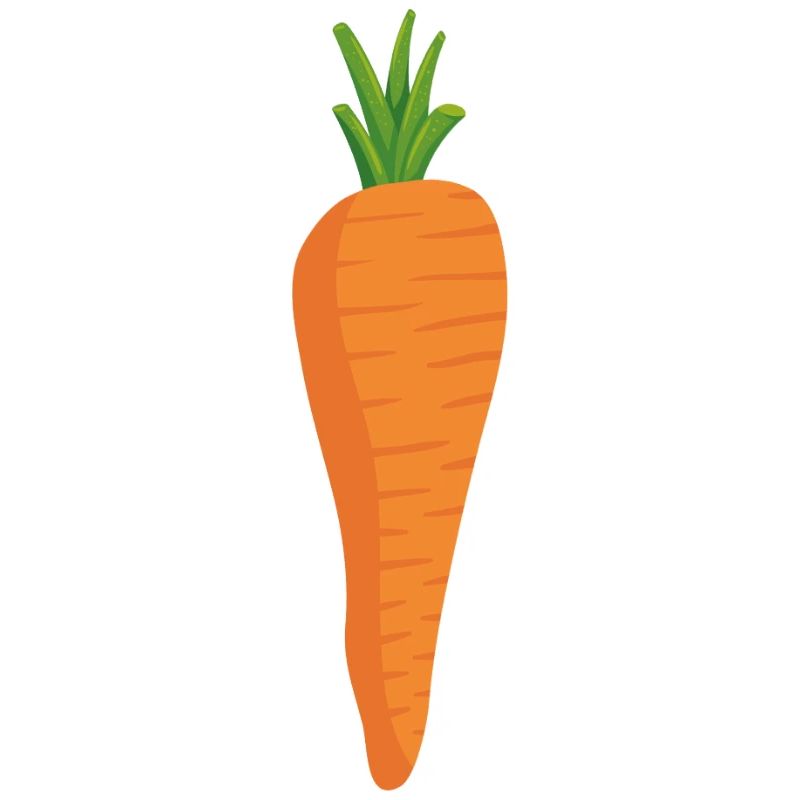 Fresh carrot