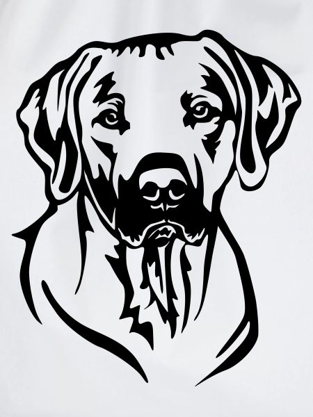 Rhodesian Ridgeback Head