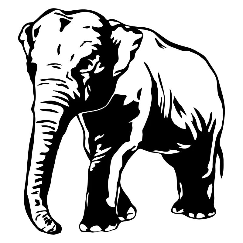 Elefant - Elephant