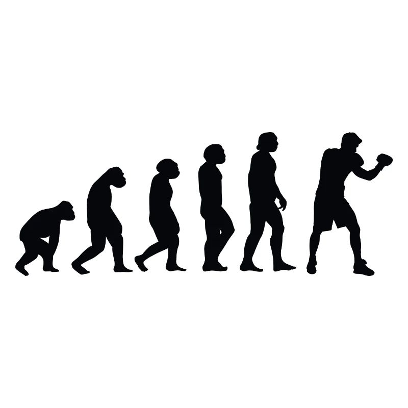 Evolution Boxe - Bo