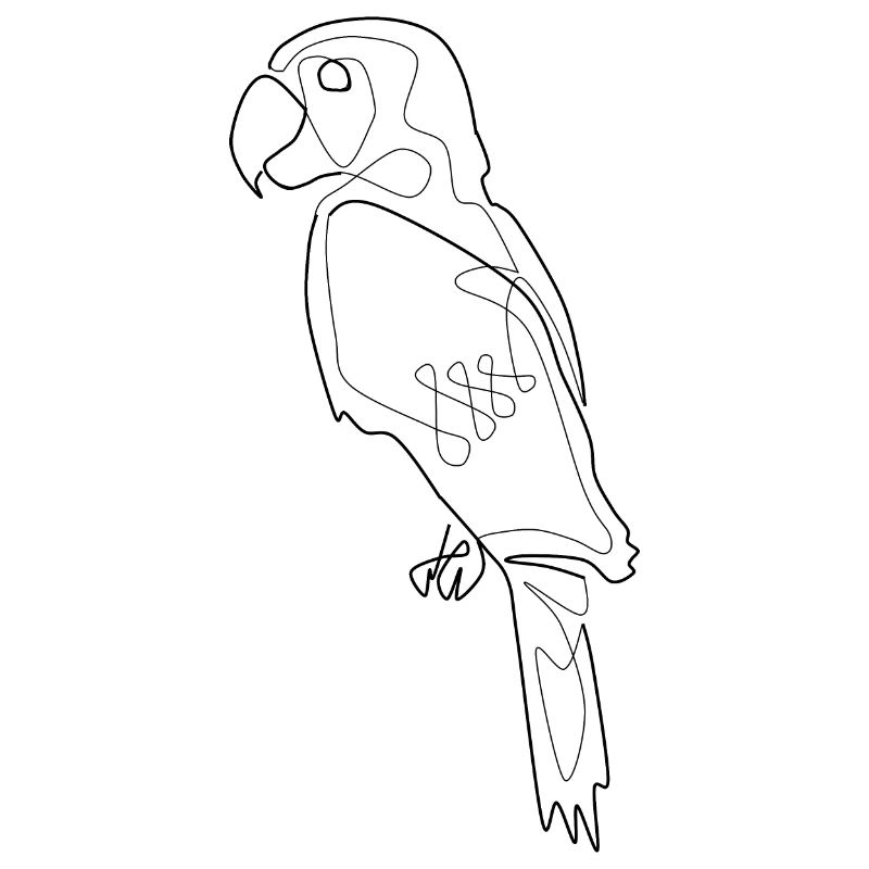 parrot black
