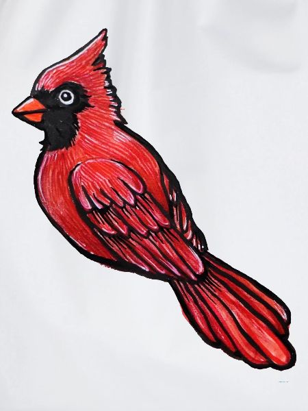 Roter Kardinal-Sketch