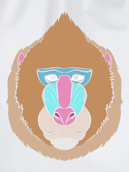 Baboon Pavian Primat Affe Affen
