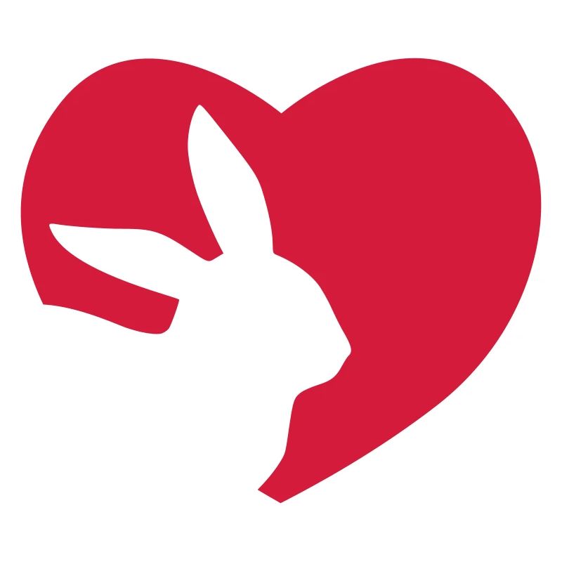 Dear Rabbit Heart Lover Gift
