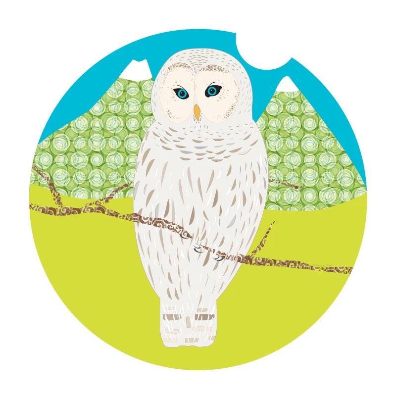 White owl
