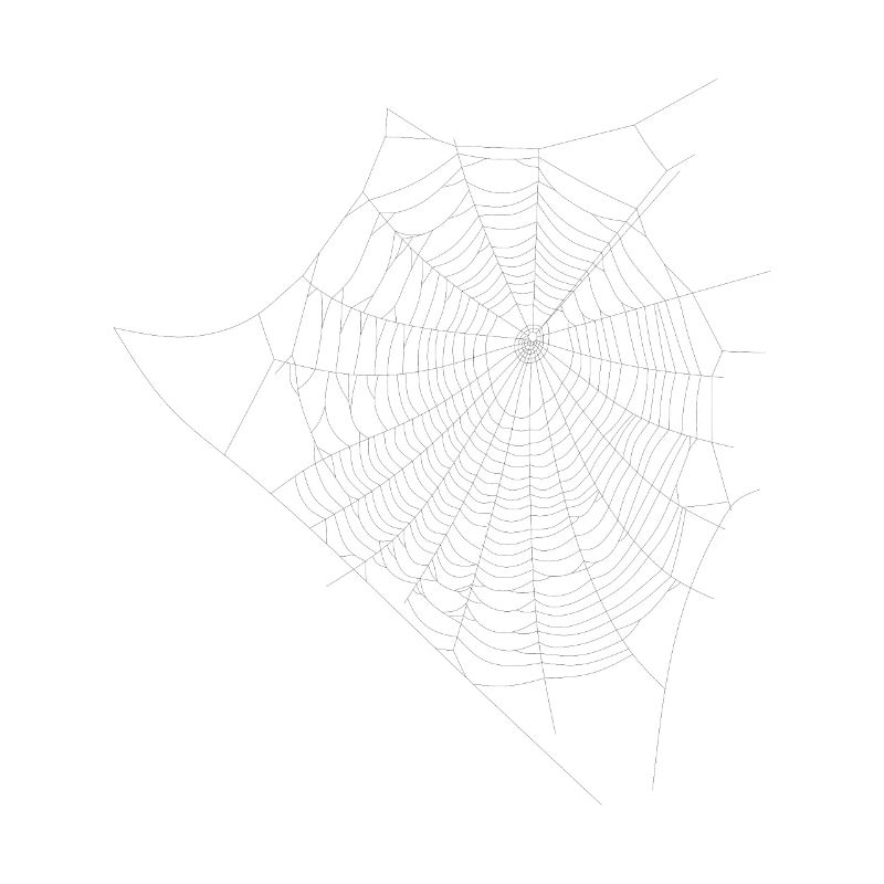 Spider web web
