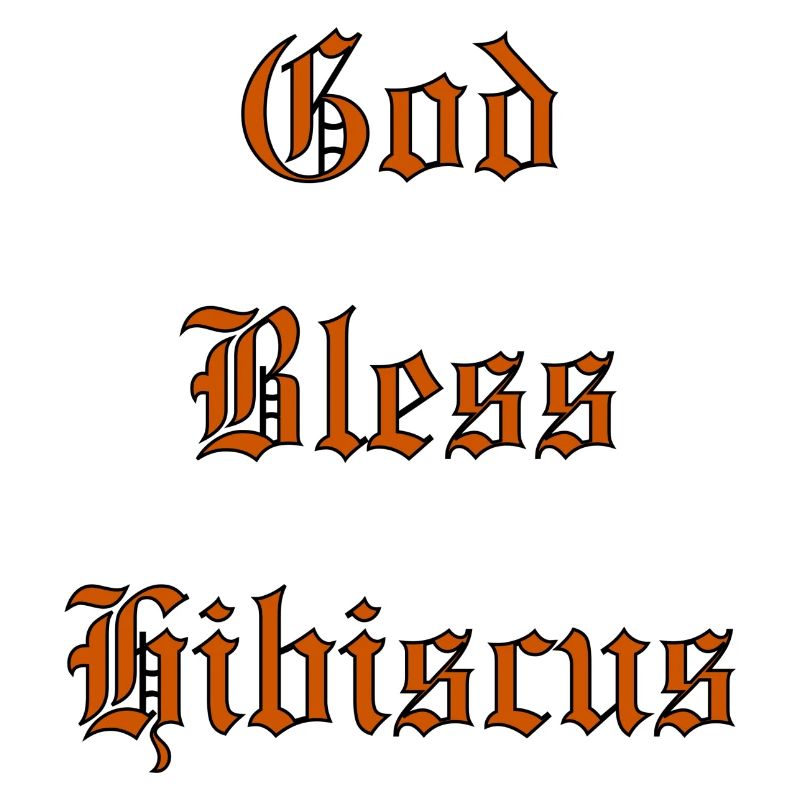 GodBlessHibiscus