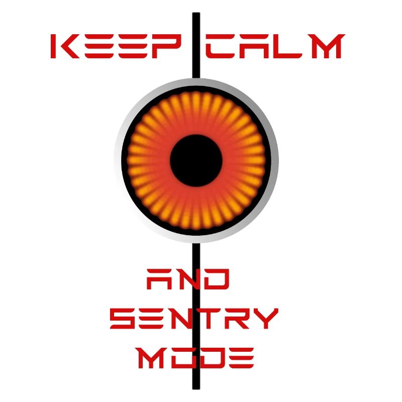 Keep Calm and Sentrymode Tesla