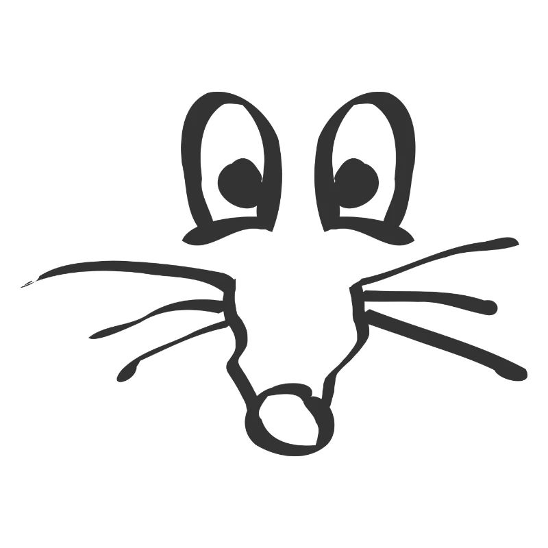 Rat mouse face gift idea