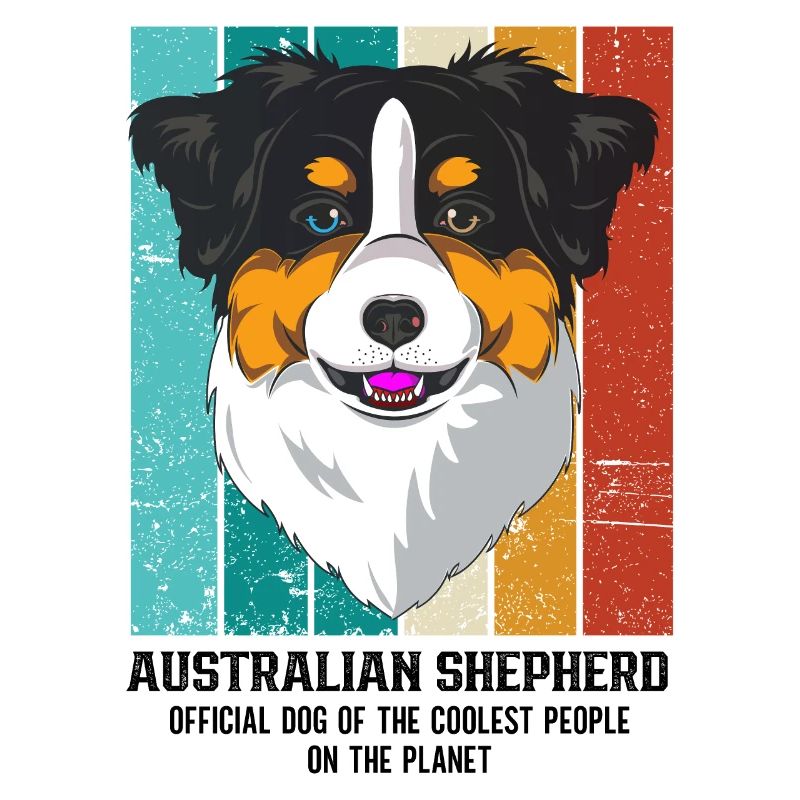 Australian Shepherd