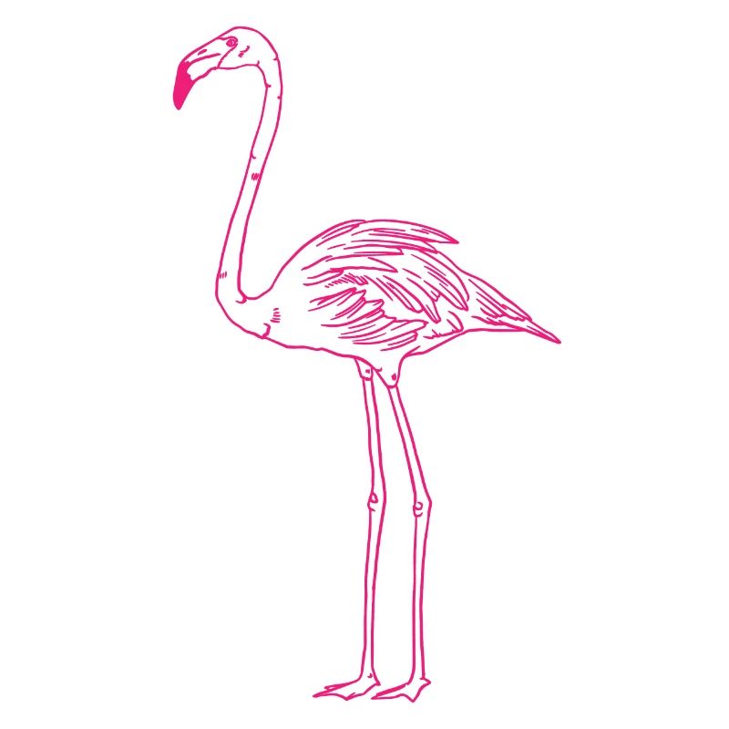 Flamingo Elegance Exotic Bird Gift